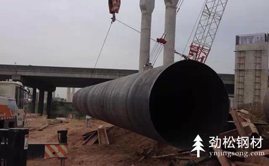 麻豆免费在线观看多少钱一吨